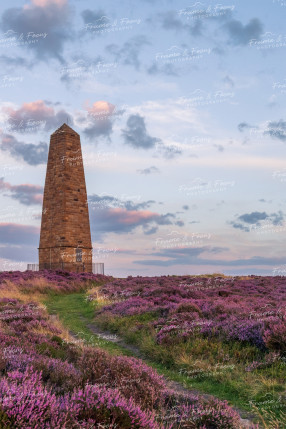 To buy a print or any of the below please click on the images